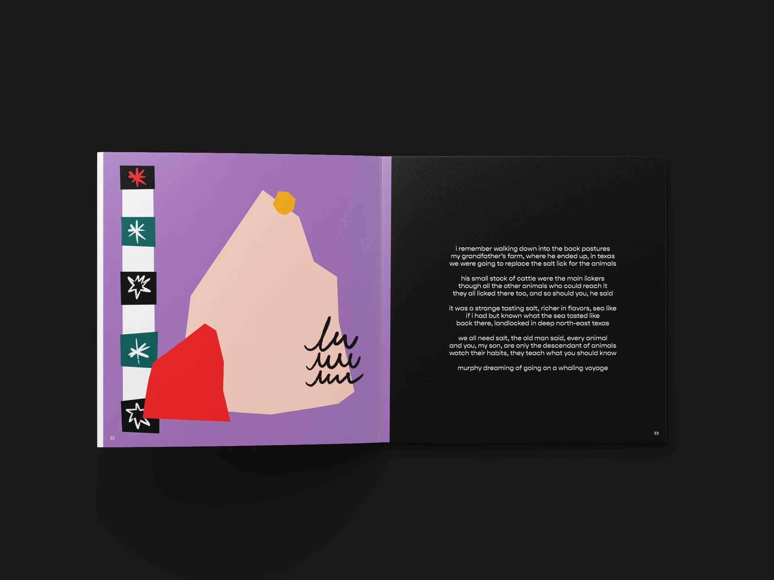 032422_murphys_book_mockup_salt.jpg