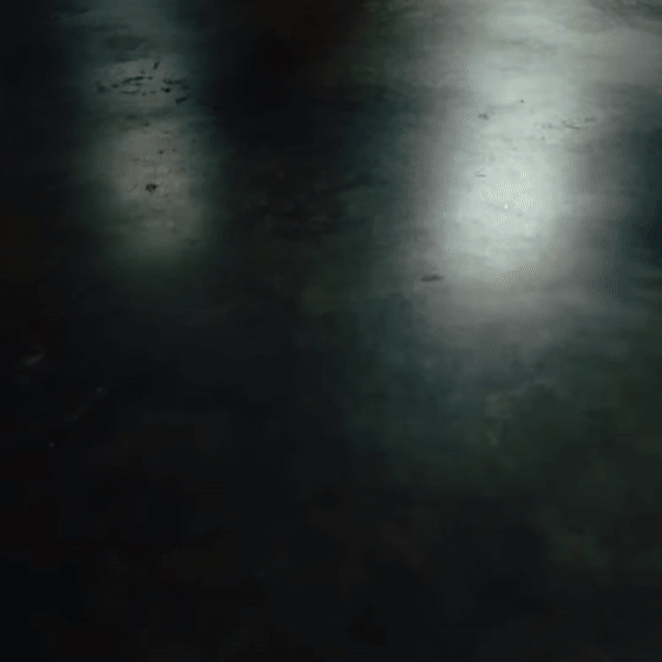 011524_safespace-ezgif.com-video-to-gif-converter.gif