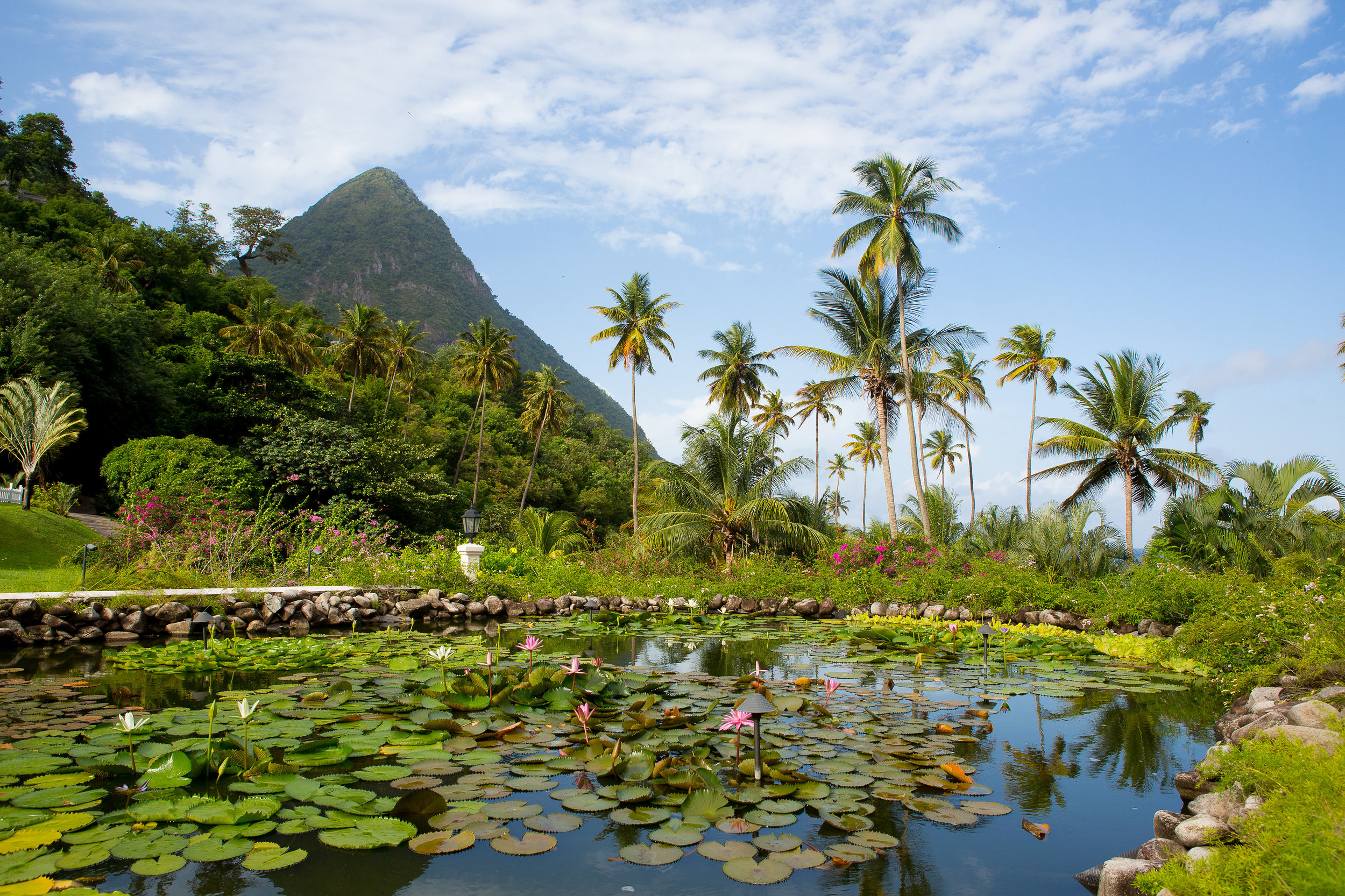 CEB_STLUCIA-0205.jpg
