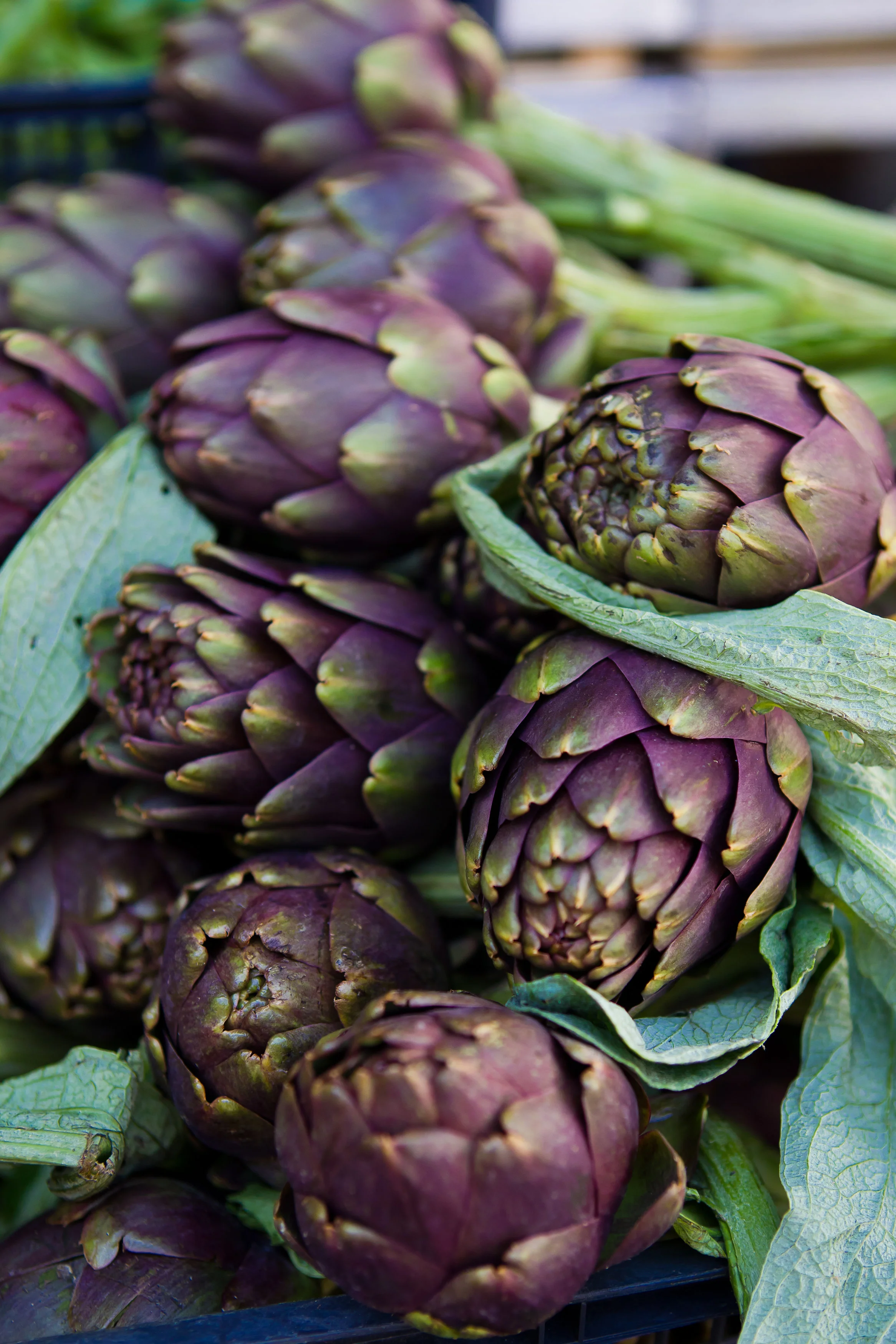Food_Stock010.jpg