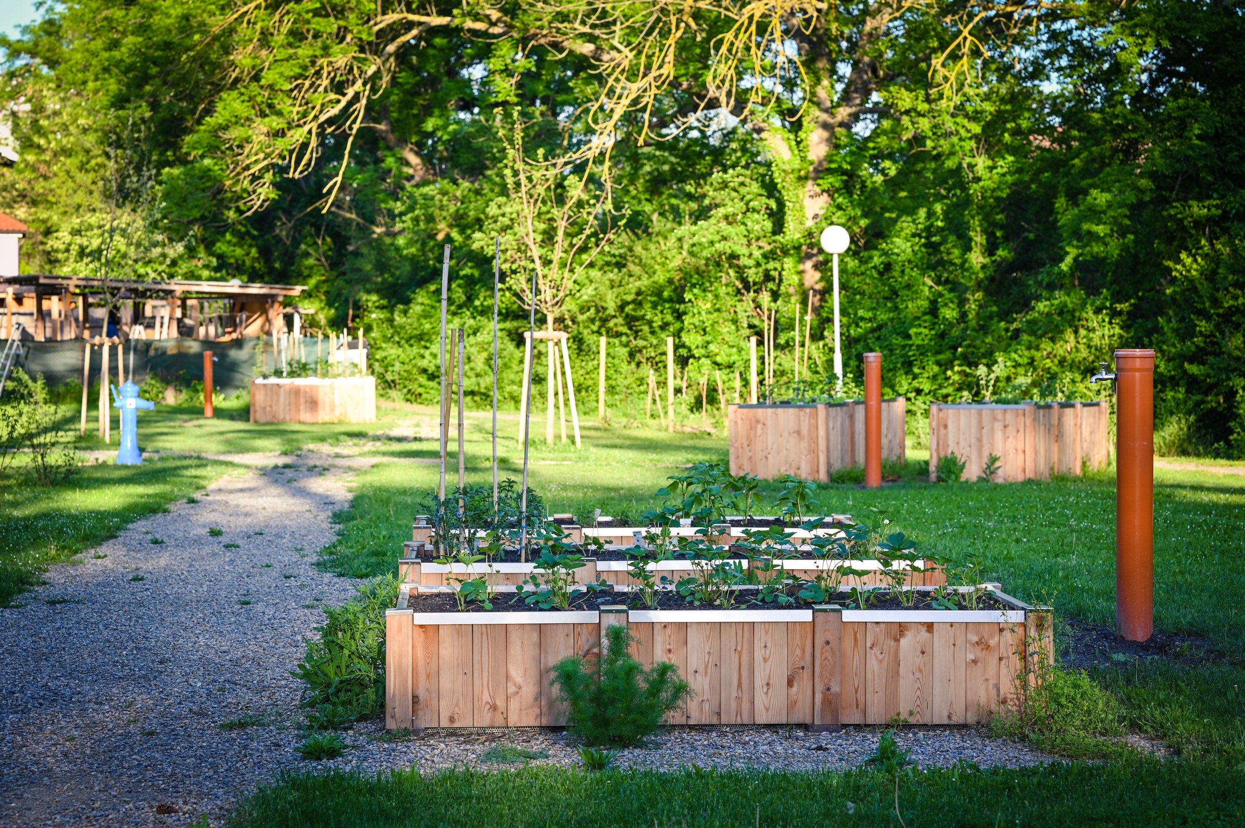 Kinderhochbeete, Urban Gardening - Projektgebiet S2 in Schwadorf