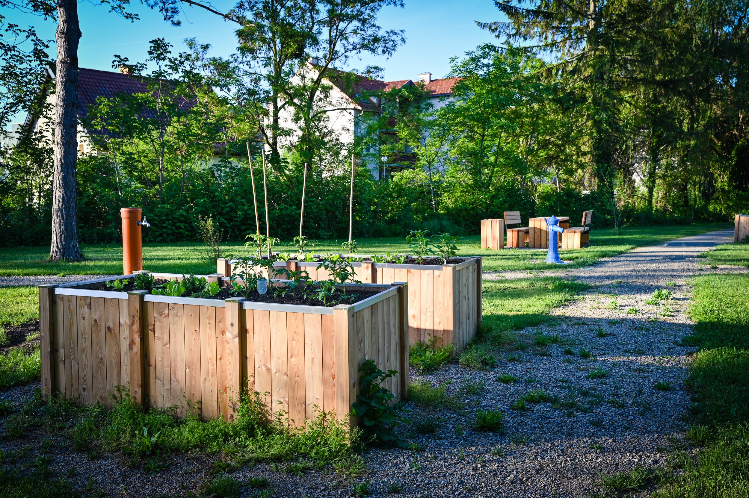 Urban Gardening - Projektgebiet S2 in Schwadorf