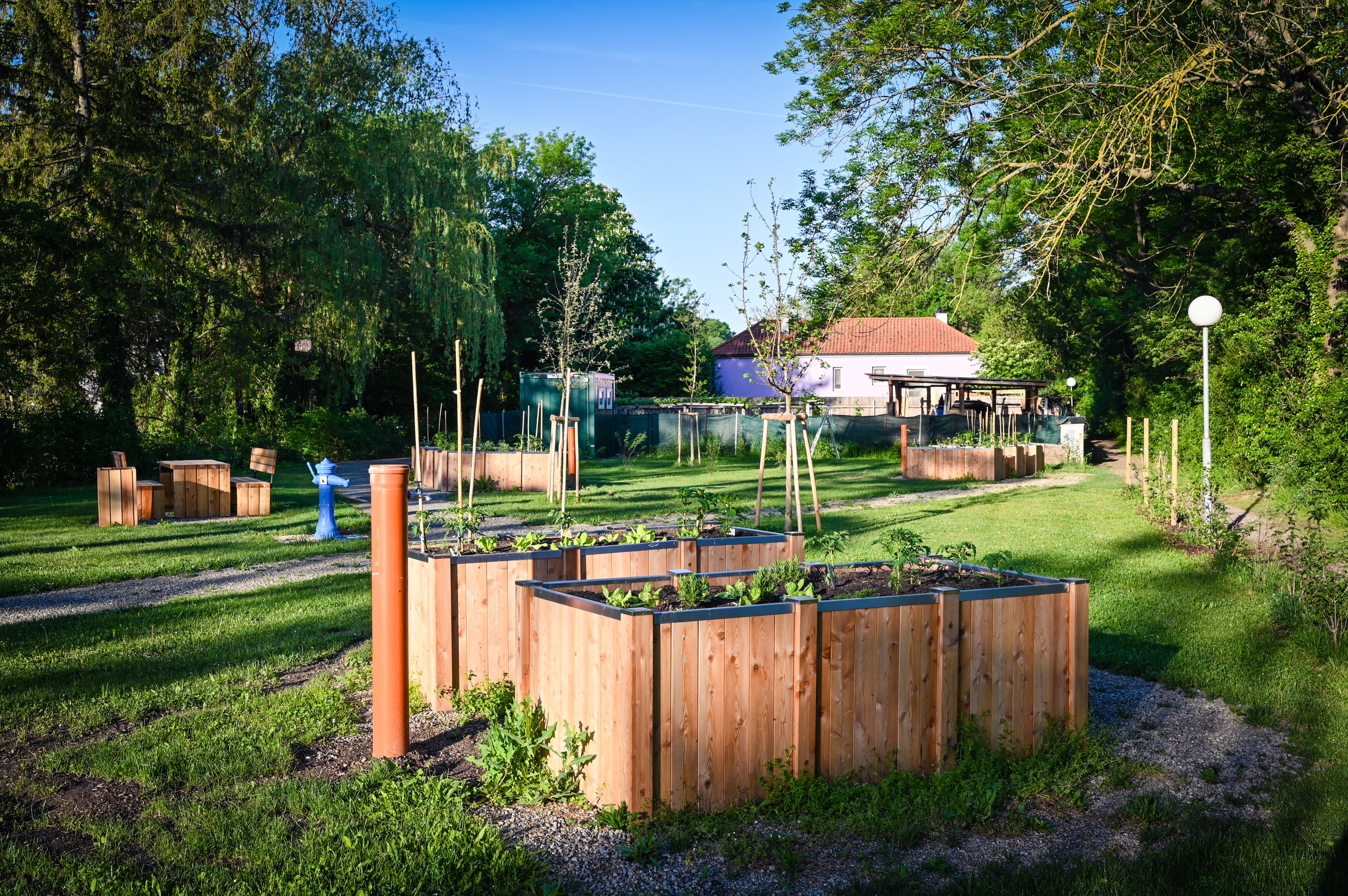 Urban Gardening - Projektgebiet S2 in Schwadorf