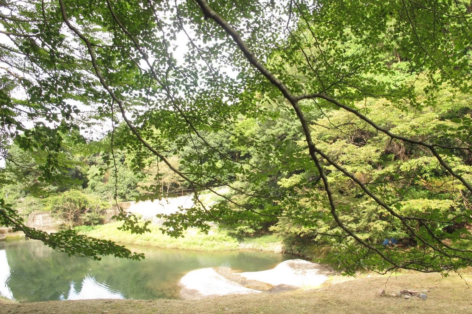 retreat-lake2.jpg