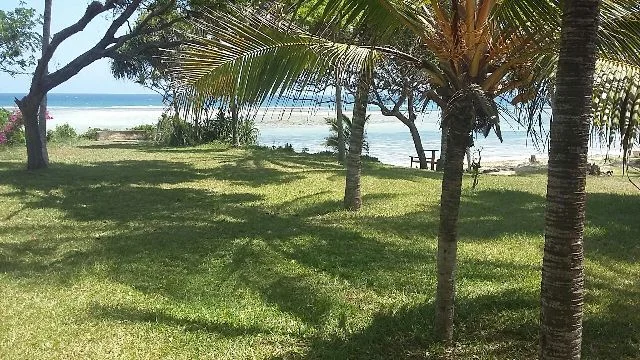 576.jpg