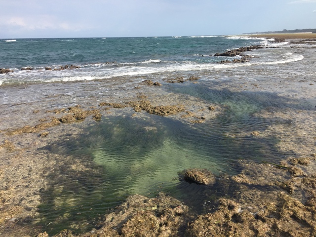 Deep pools on the reef SIB.jpg