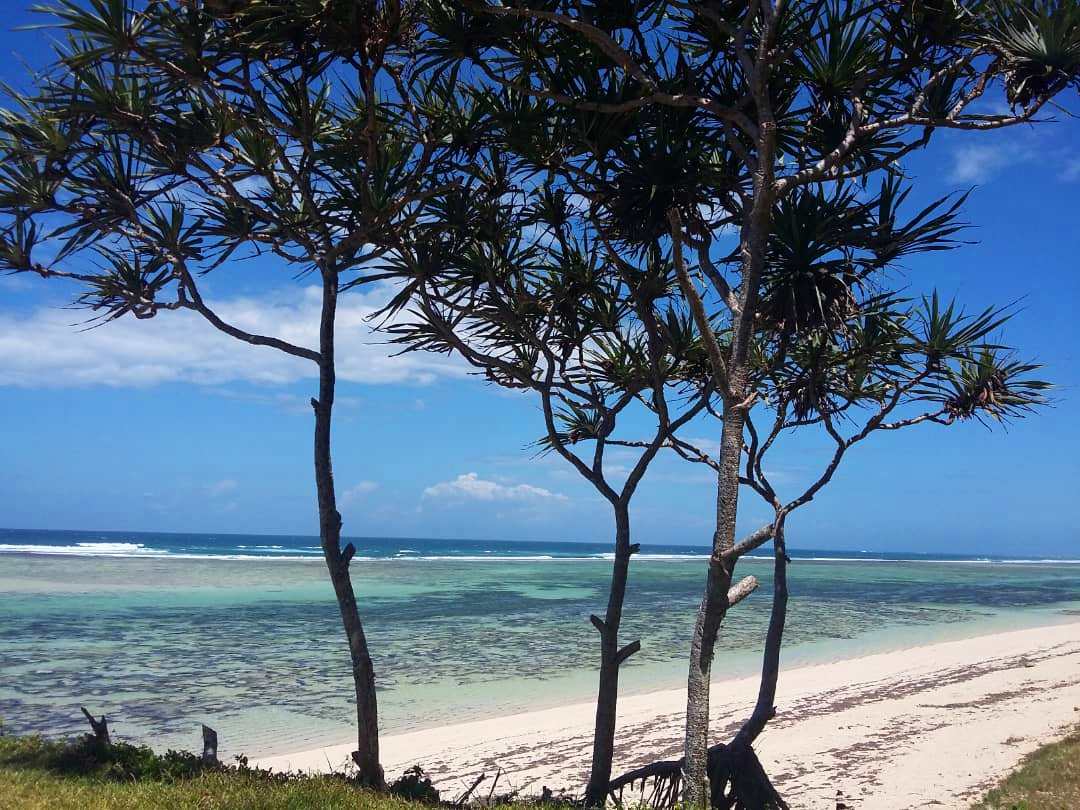 Our beach this morning …