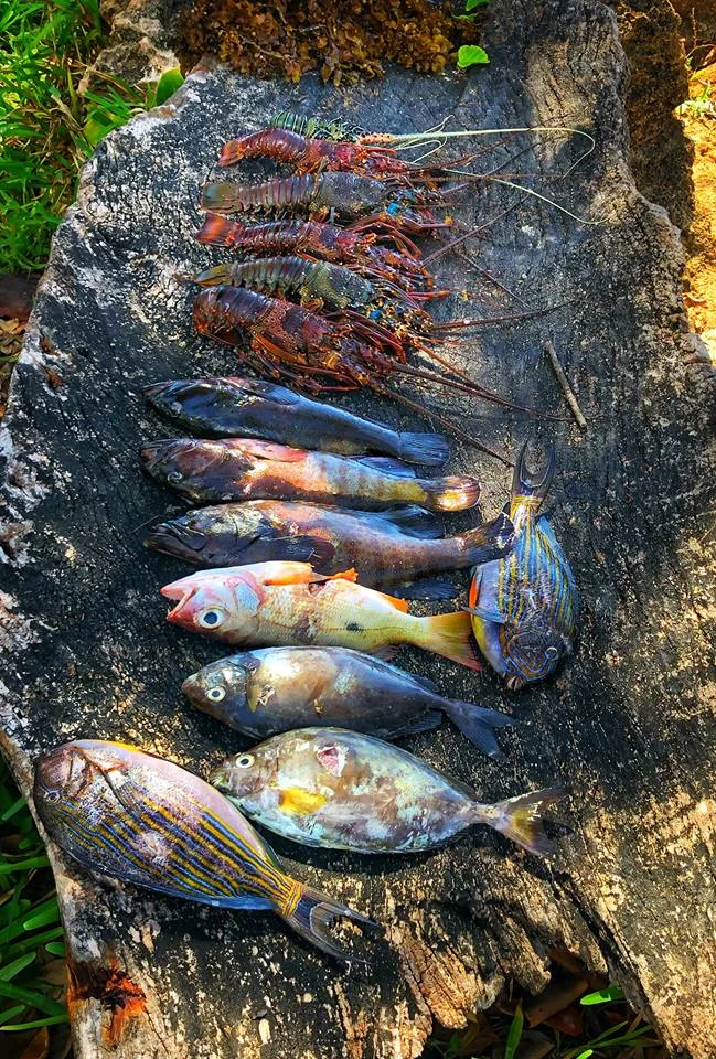 Rasta’s Catch