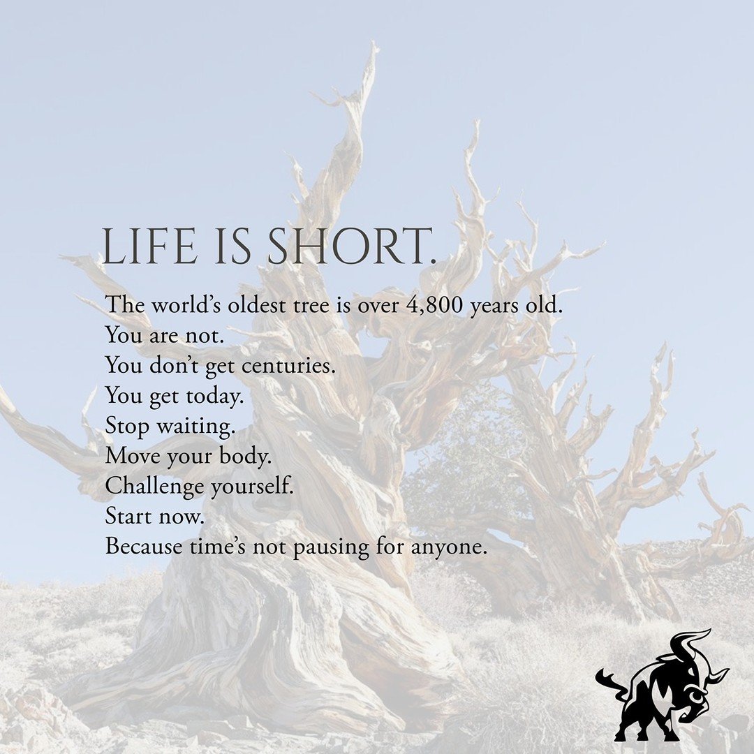 We often forget how little time we truly have.
The world’s oldest tree is nearly 5,000 years old. It’s seen empires rise and fall, oceans shift, and generations come and go.
And yet here we are, rushing through life like we’ve got f