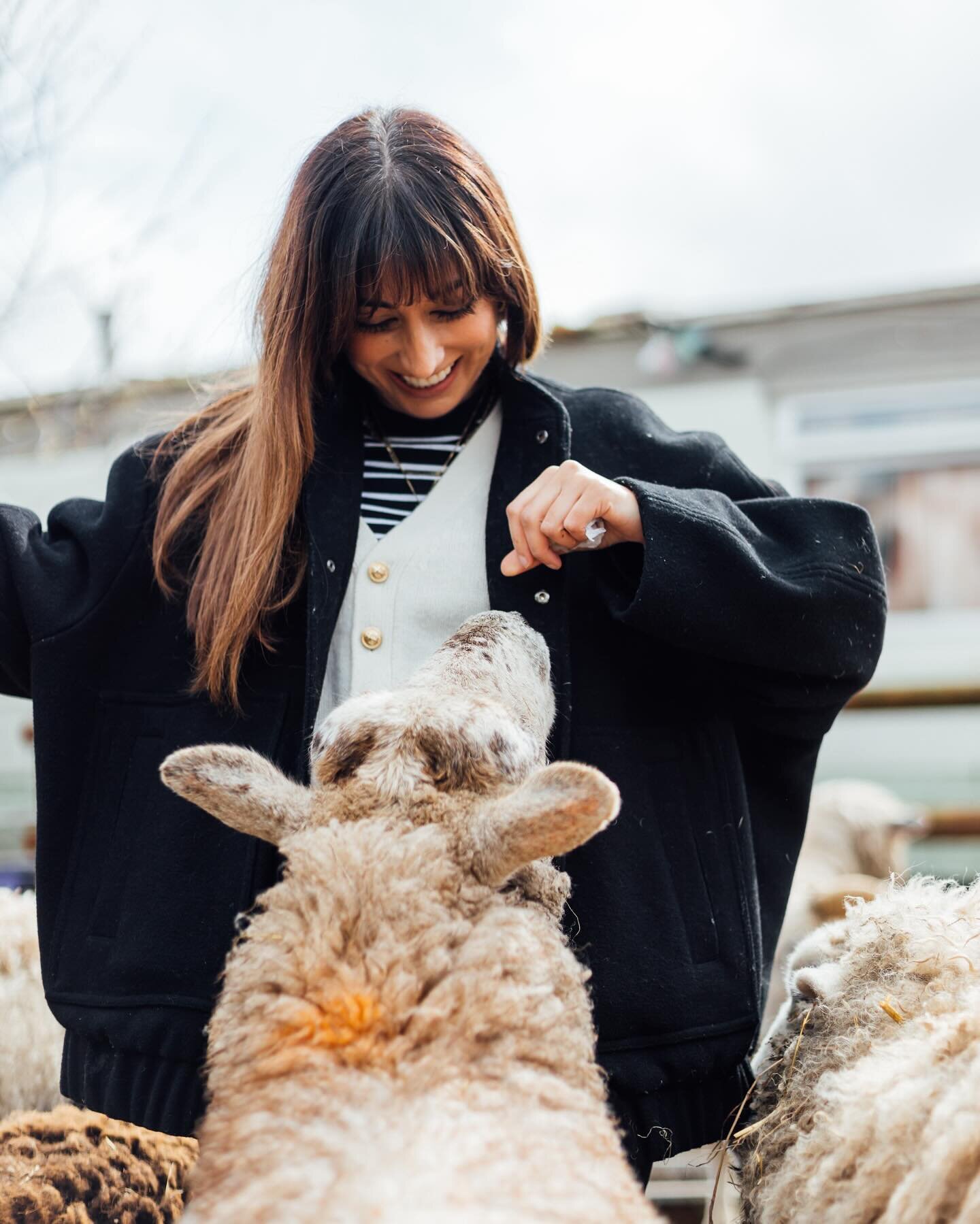 If i&rsquo;m asked when I&rsquo;m at my happiest outside of my job, it&rsquo;s usually when I&rsquo;m surrounded by animals. Whether it be at home with my feline children Alfie and Bubbles or in a field, knee deep in mud with all the sheep! This week