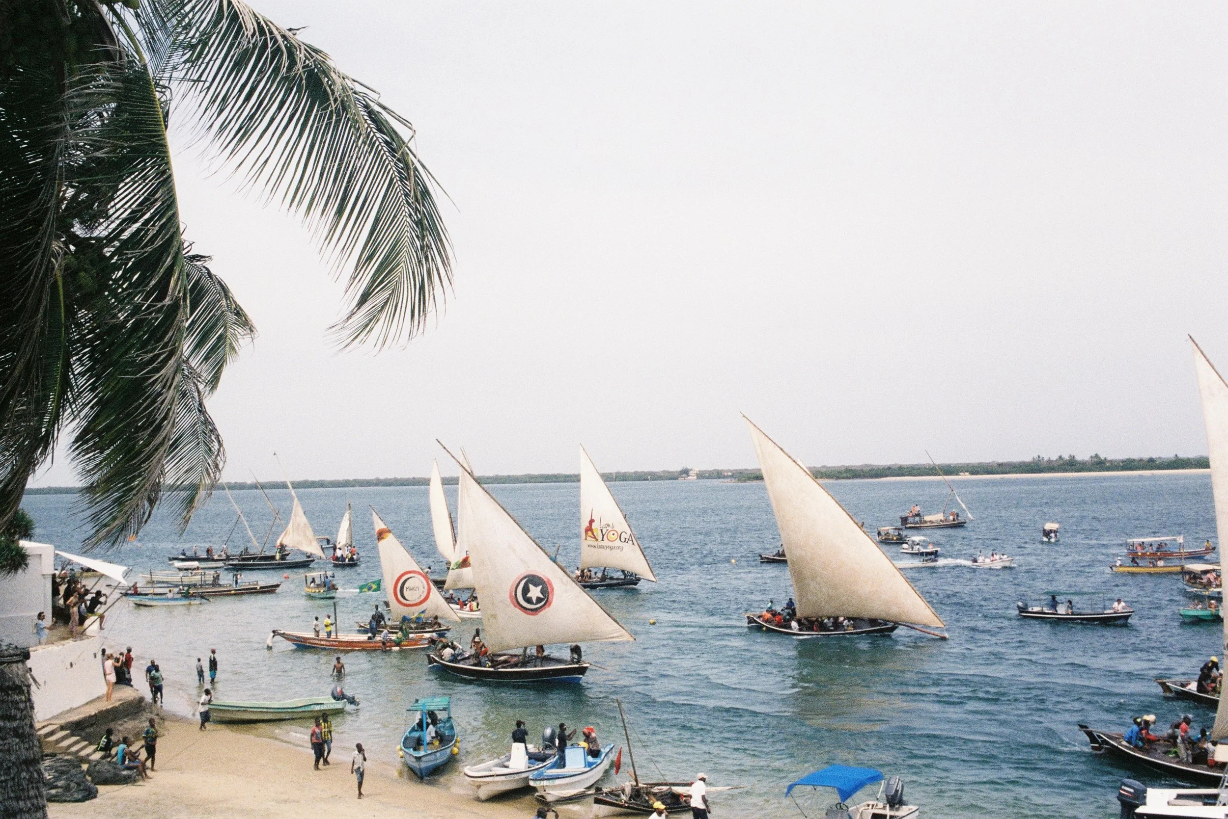 FUJI PRO400H (3)-2.jpg