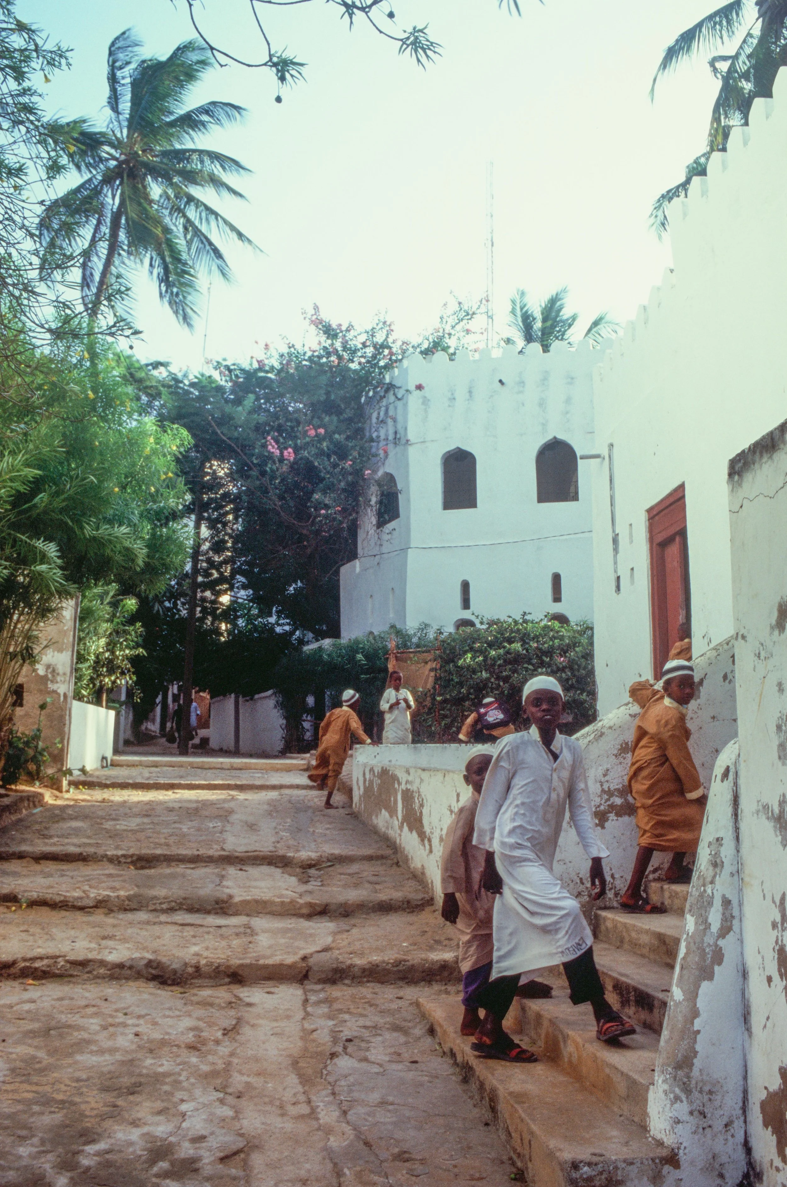 FUJI RVP 100 (13)-3.jpg