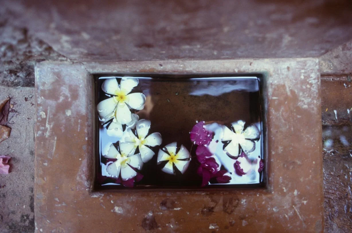 FUJI RVP 100 (15)-3.jpg