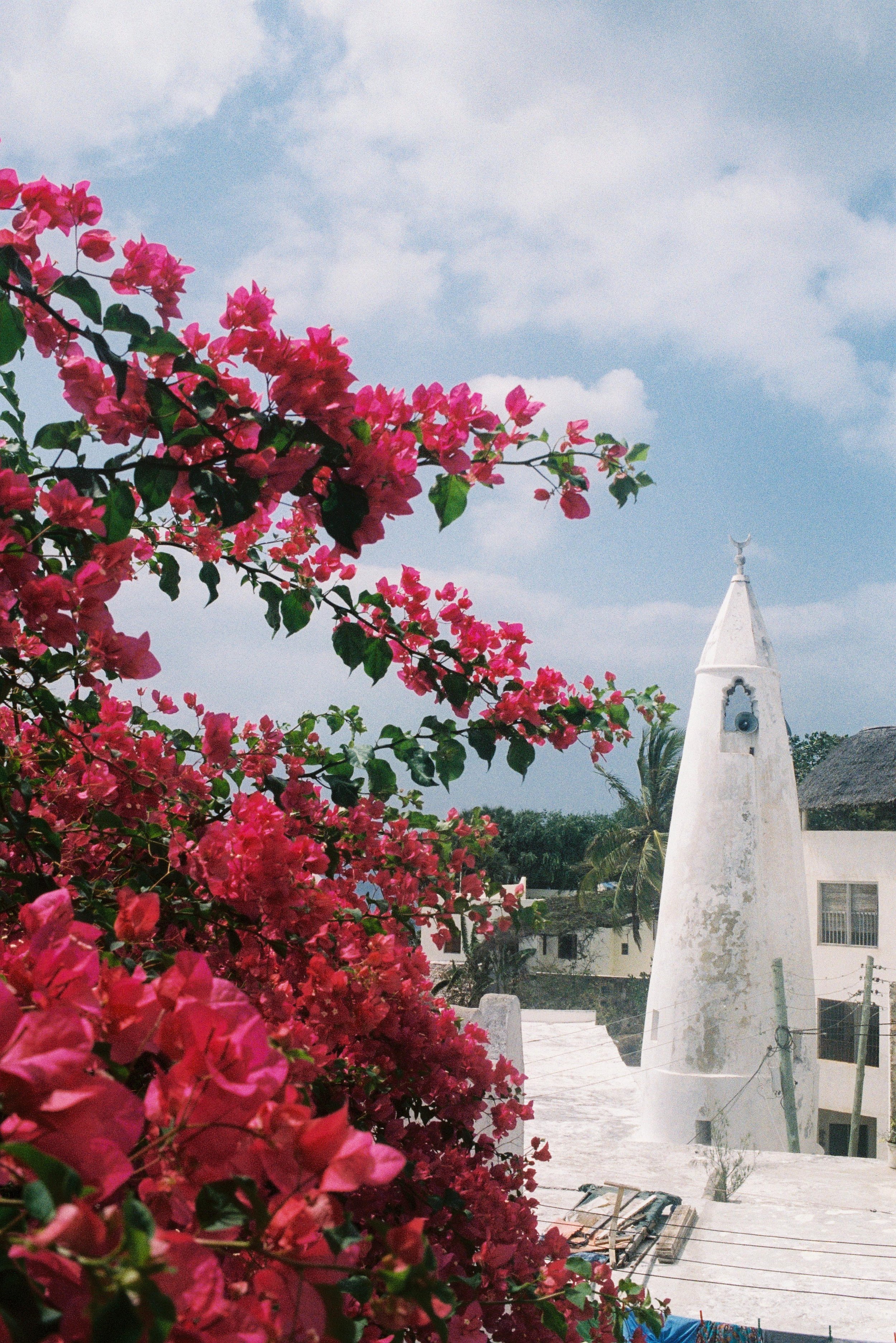 FUJI PRO400H (23).jpg