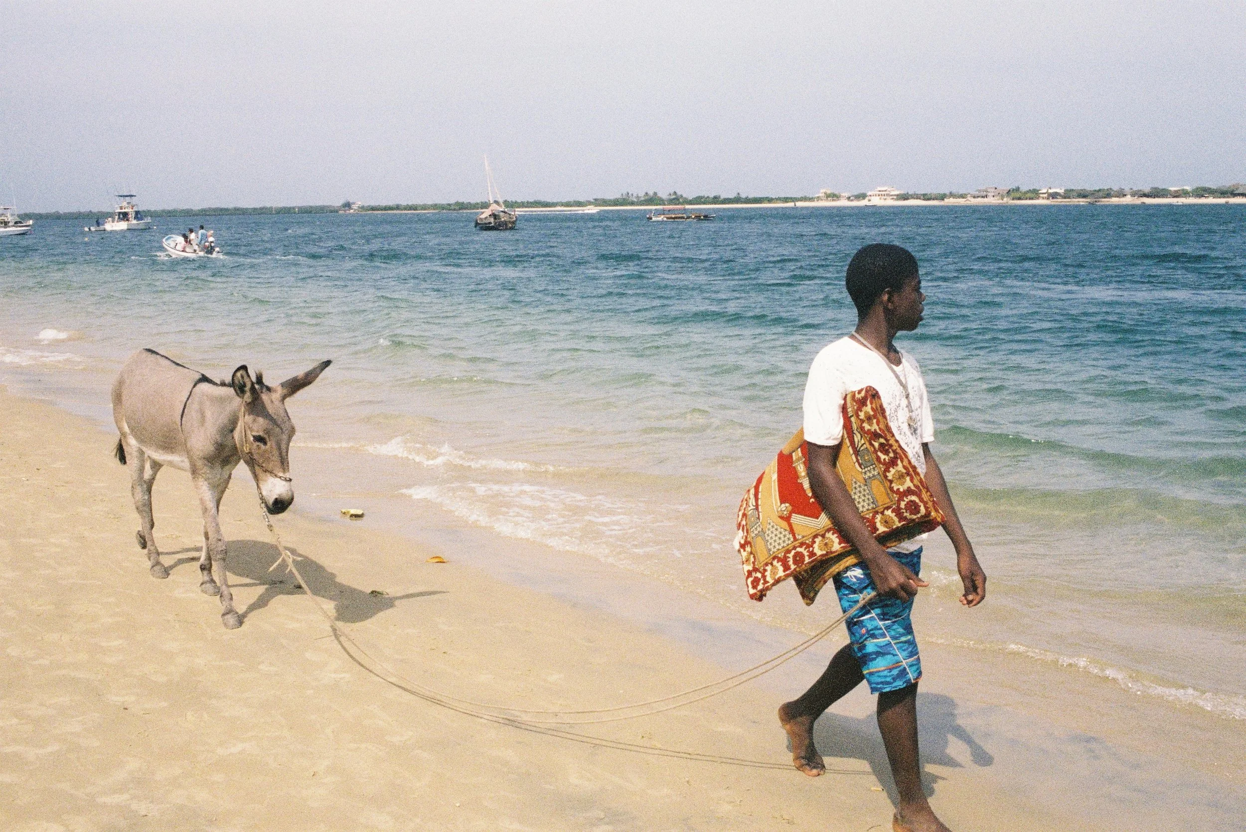 FUJI PRO400H (23)-3.jpg