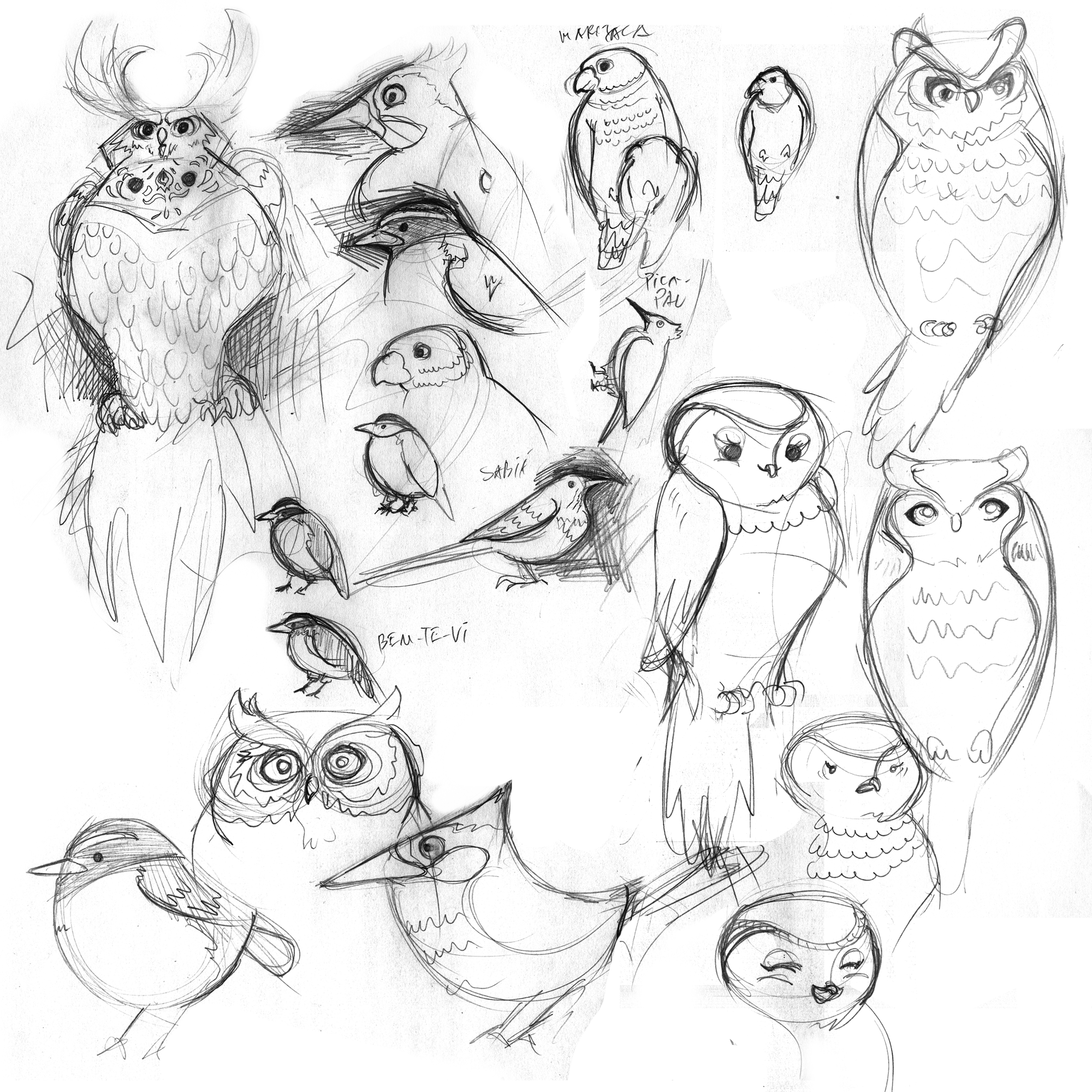 feijaozinho-sketches.png