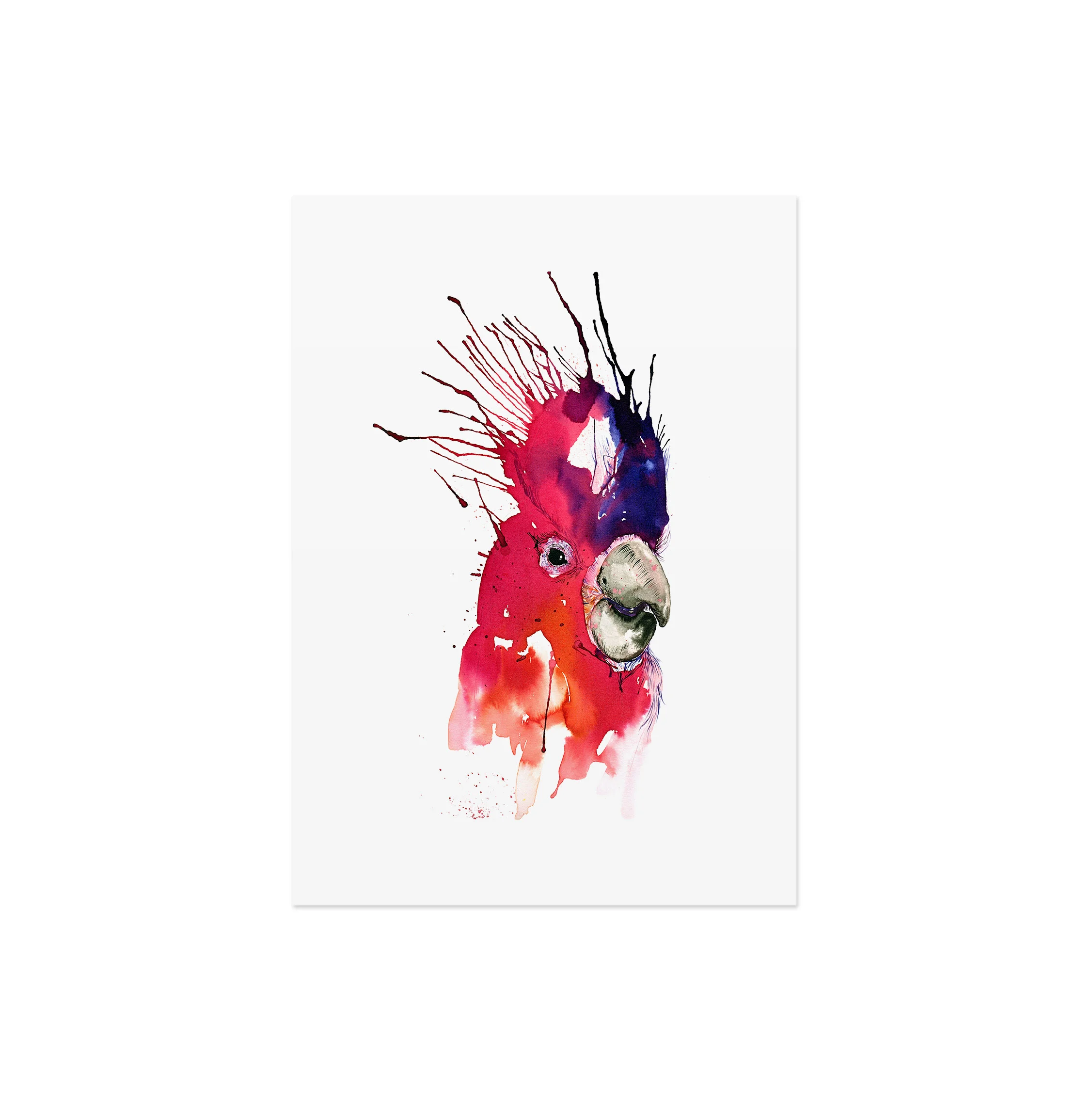 Louise-Overgaard-bird-watercolor_parrot-16_2.jpg