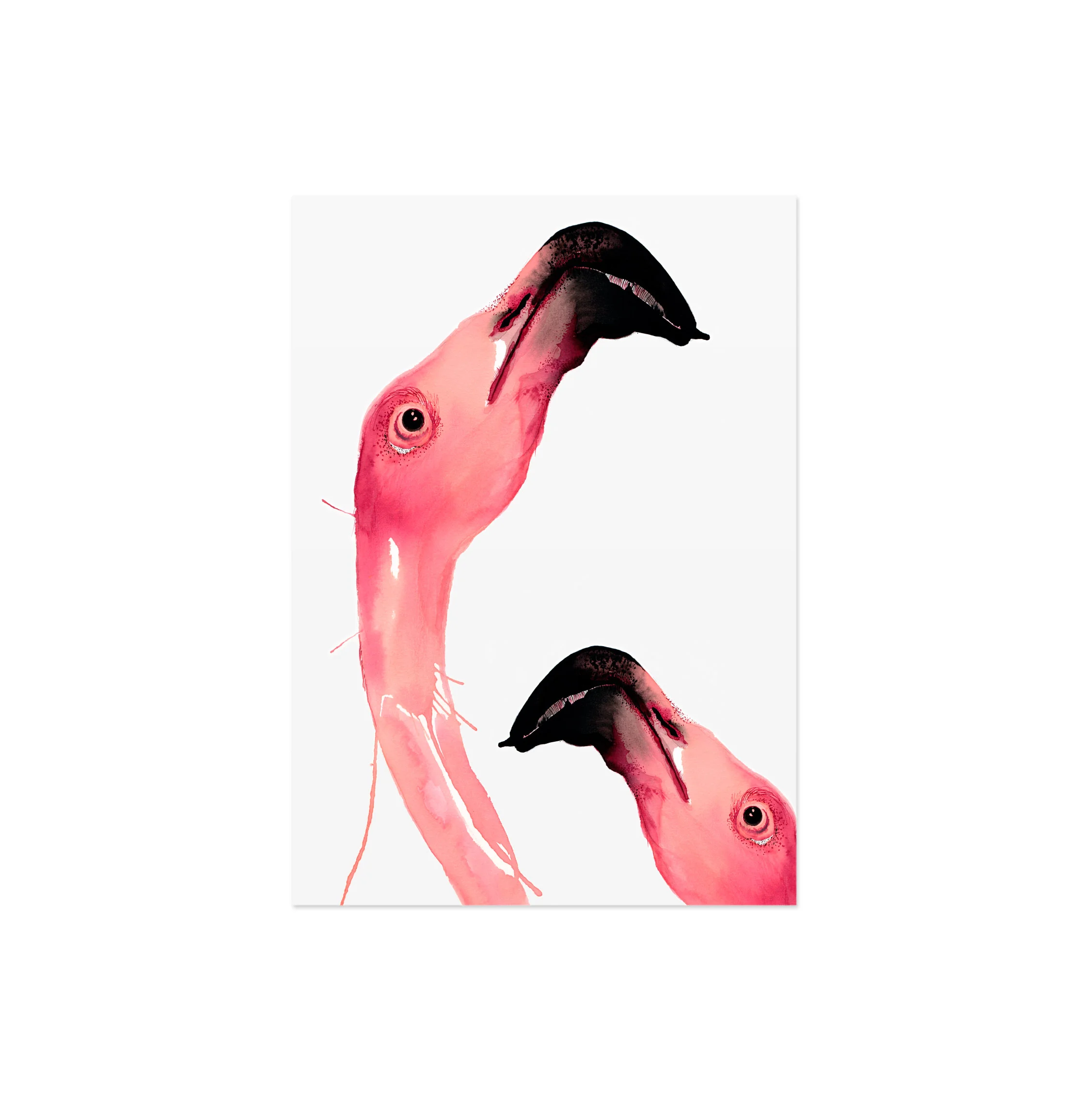 Louise-Overgaard-bird-watercolor_Flamingo-02_2.jpg