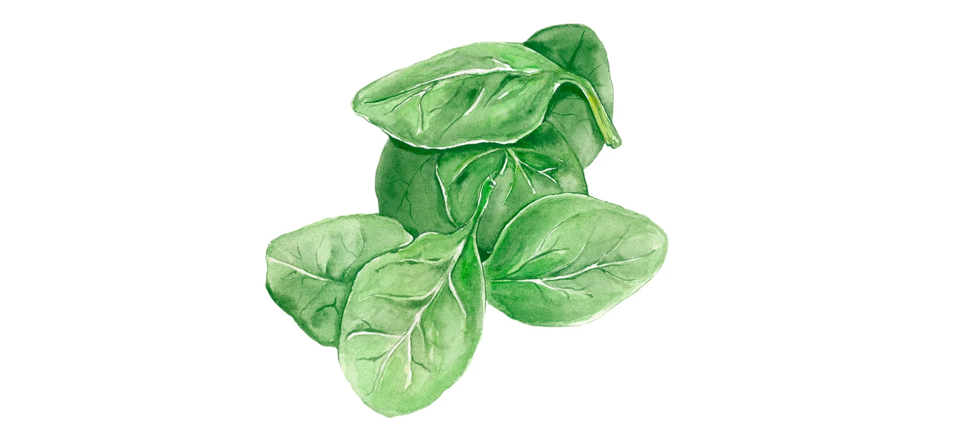 Schulstad_illustration_Louise-Overgaard_03.jpg