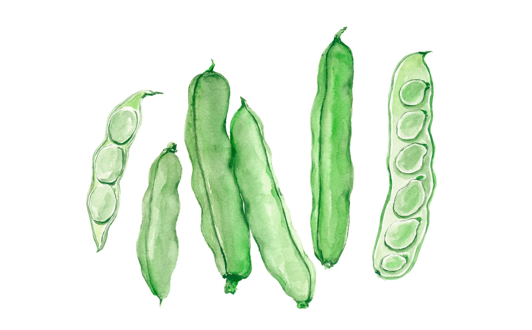 Schulstad_illustration_Louise-Overgaard_01.jpg