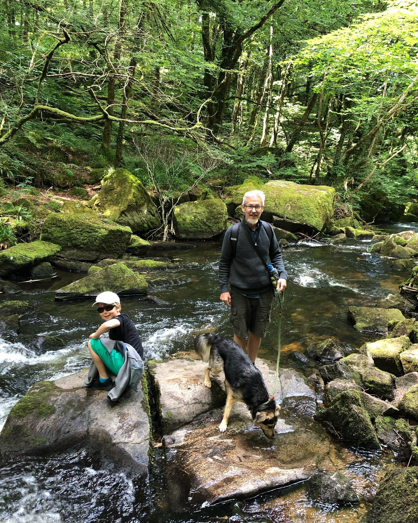 &ldquo;What&rsquo;s around the bend in the river?&hellip;.&rdquo; 

We&rsquo;re staying very close to Golitha Falls on the River Fowey. We hiked the edge of the cascading waterway, through beautiful ancient, oak woodland, over moss covered boulders a