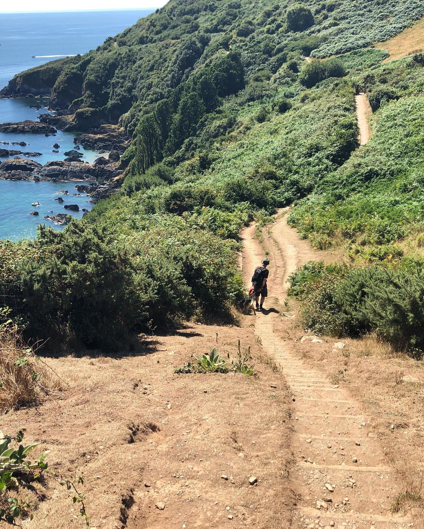 We decided to leave the car at Hendersick and walk the @southwestcoastpath to Talland Bay. Butterflies escorted us and the sparkling sea and azure blue sky dazzled us, as we looked out to Looe Island and down at the tiny figures on Port Nadler bay. 
