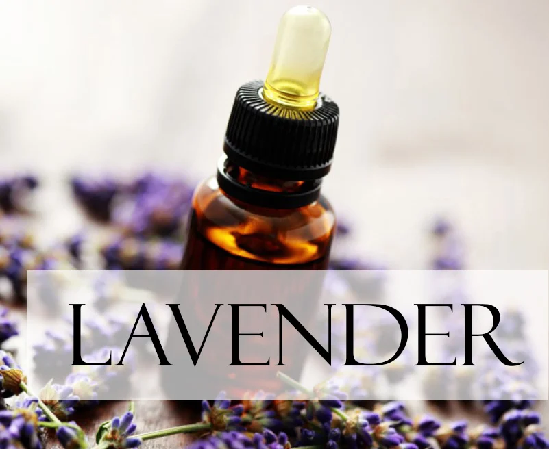 a vial of lavender essential oil, surrounded by lavender flowers