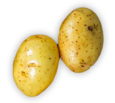 potatoes are high in carbohydrates and so should be avoided when on a ketogenic diet