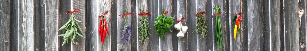 a selection of healthy herbs and spices that can help to balance hormones