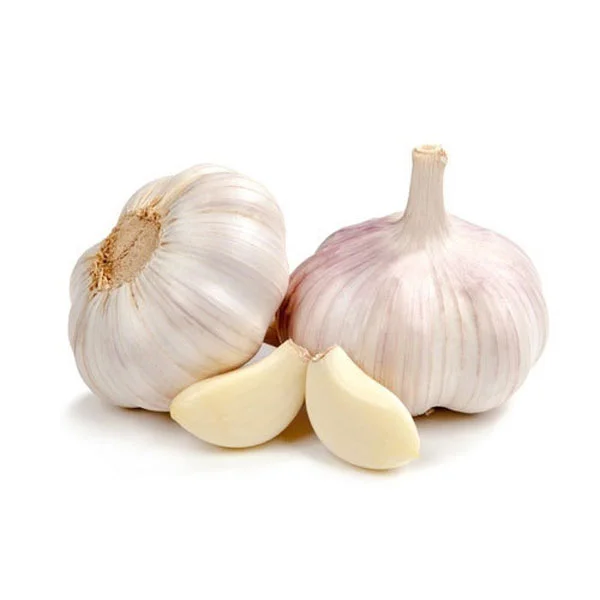 Fresh garlic is a good source of fibre