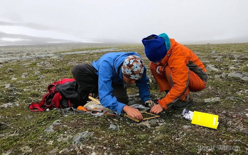Research Foreland Scott Wilson 20120731.jpg