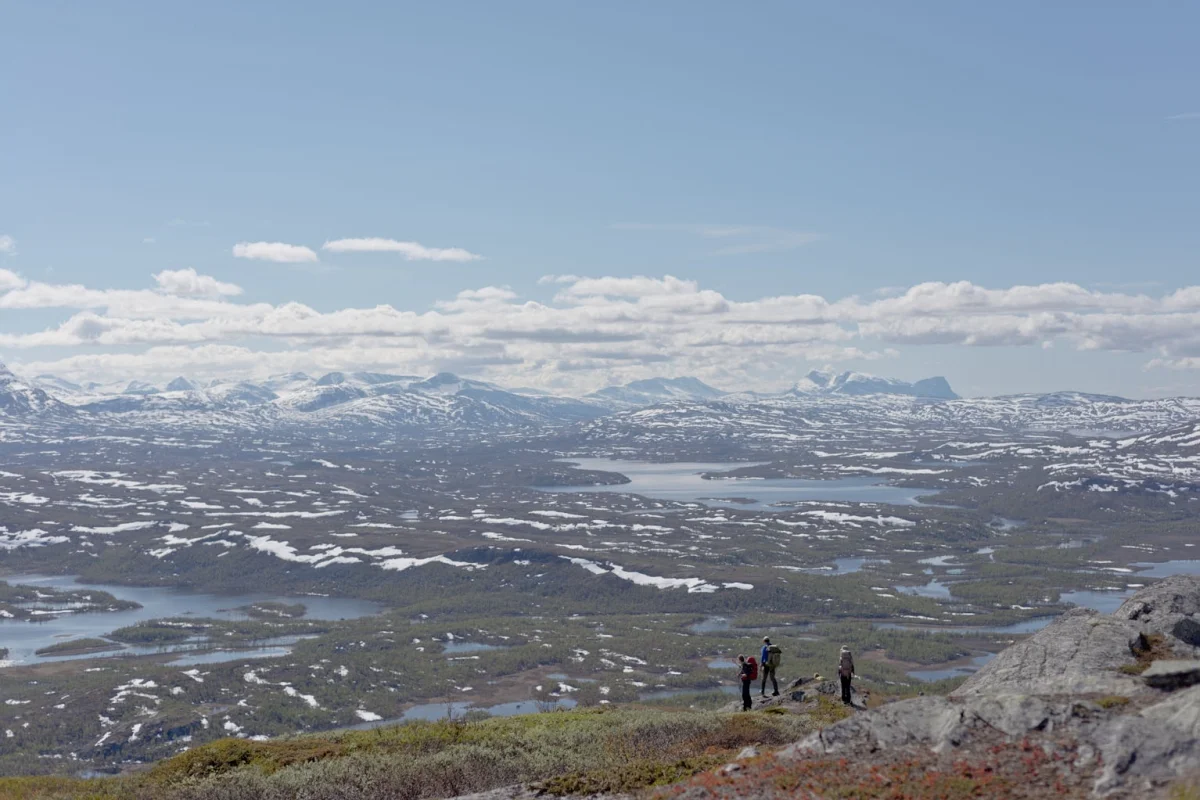 Fieldwork by Ive van Krunkelsven.jpg