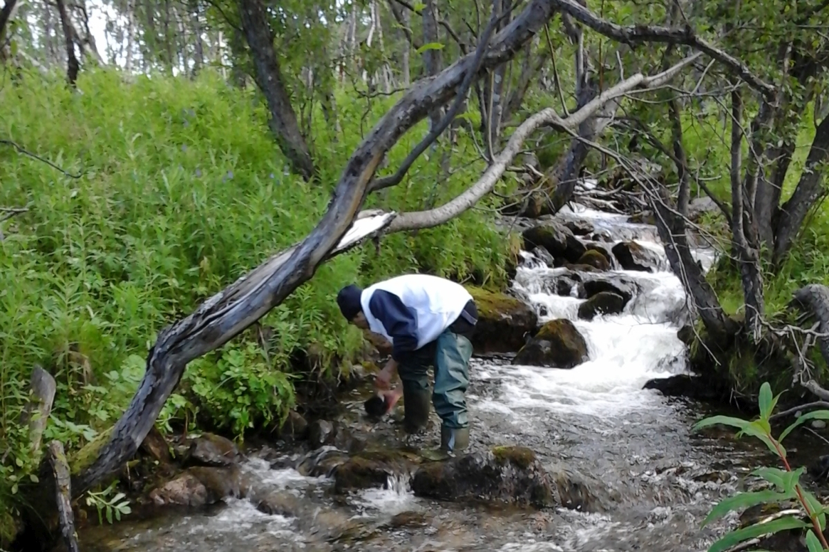 Danny Lau Stream Fieldwork.jpg