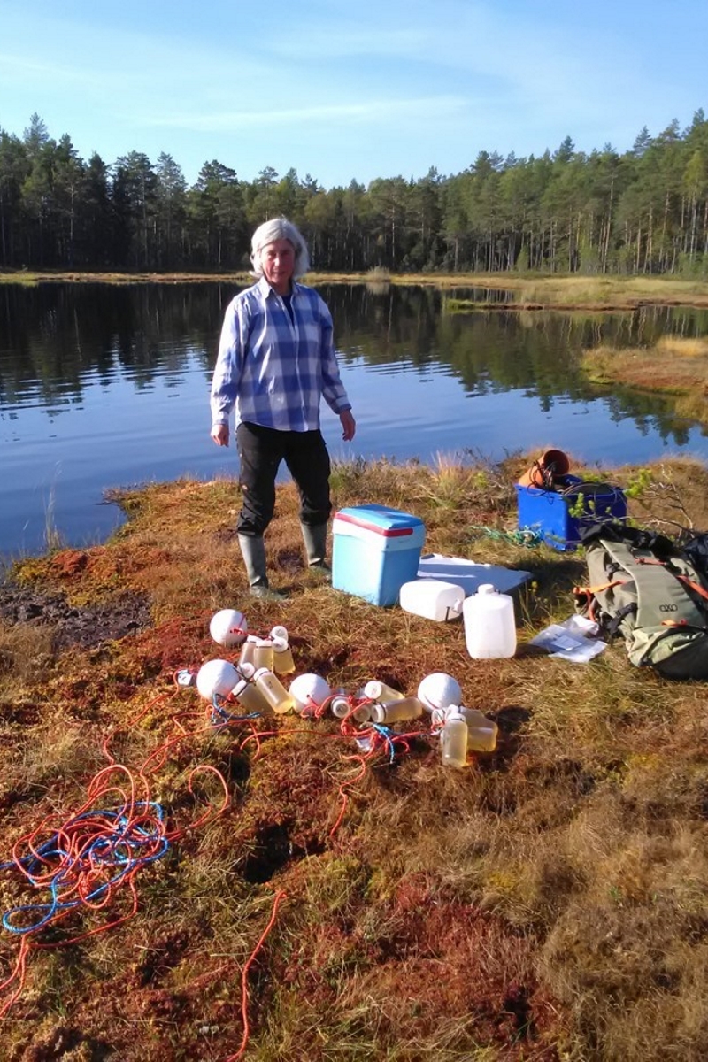 Ann-Kristin Bergström Fieldwork 2.jpg