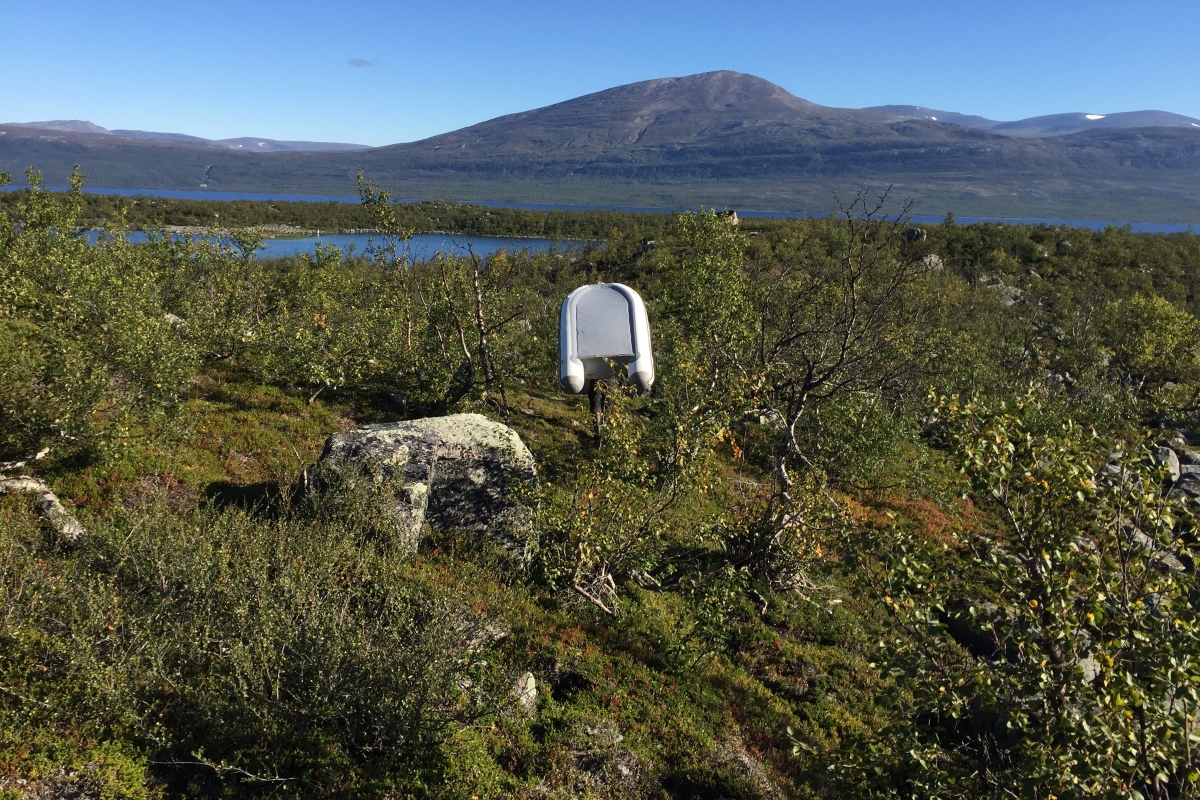 Ann-Kristin Bergström Fieldwork.jpg