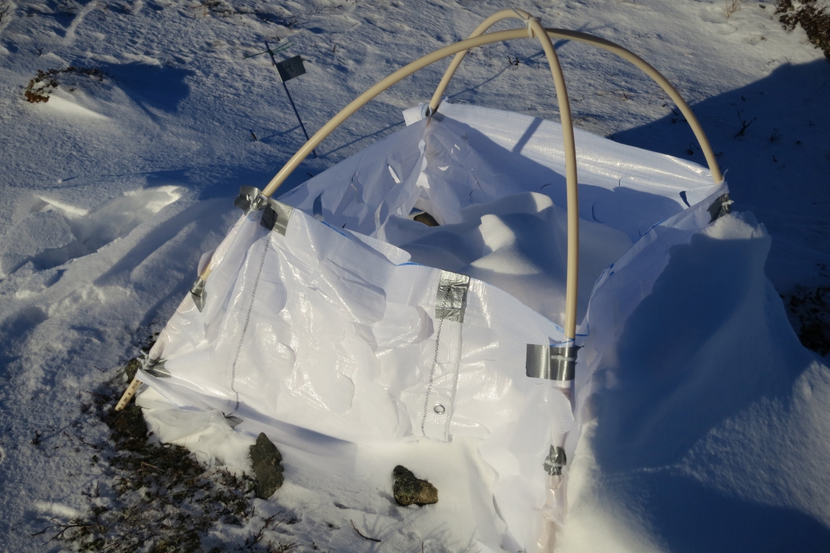 Snow tent Signe Lett 1200x800.jpg