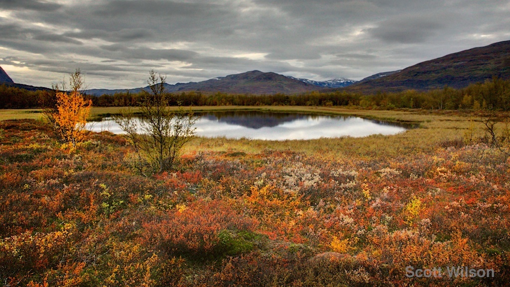 AutumnTarnby Scott Wilson 1024.jpg