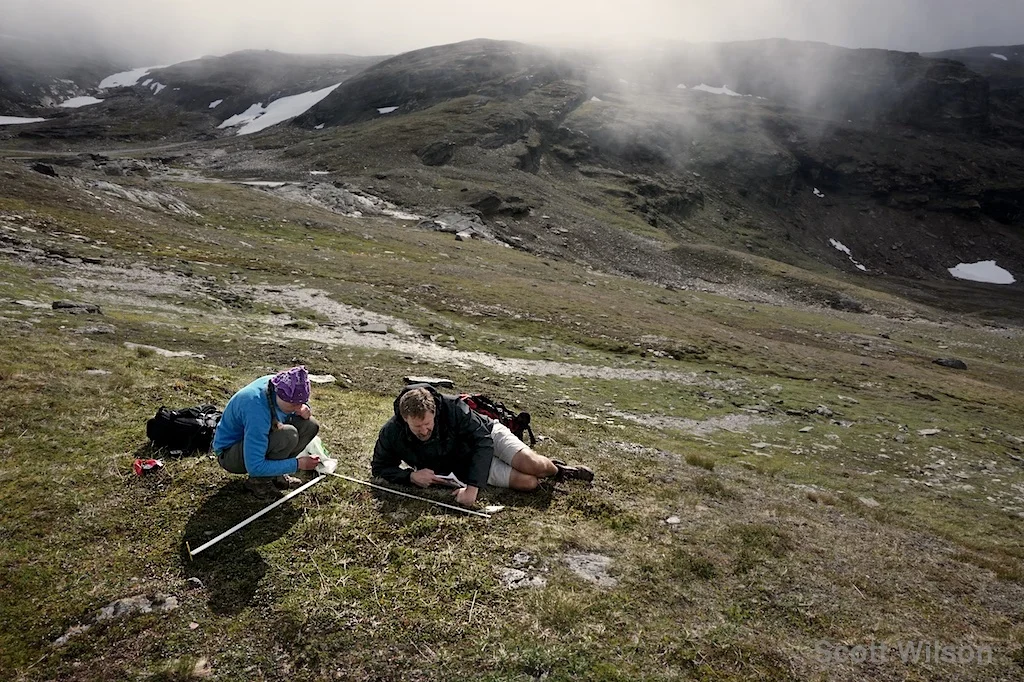 Measuring Diversity Scott Wilson 20160802.jpg