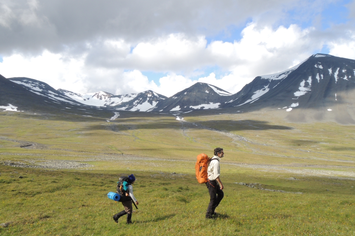 HIking into the field 2 by Makoto Kobayashi 1200x800.jpg