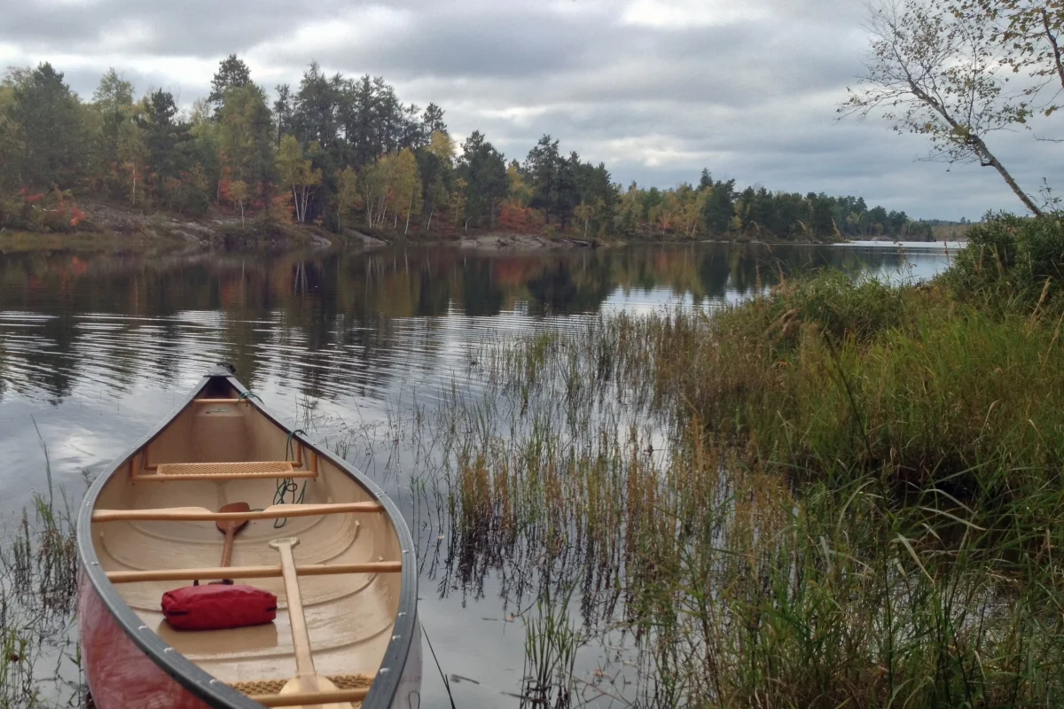 Phys.org: It's a fish eat tree world: Study finds widespread support that lakes are fed by their watersheds