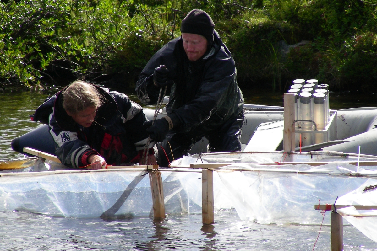 JanKarlsson Lake Sampling 1200x800.jpg