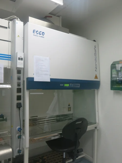 Esco Class 2 Biosafety Cabinet | Cabinets Matttroy