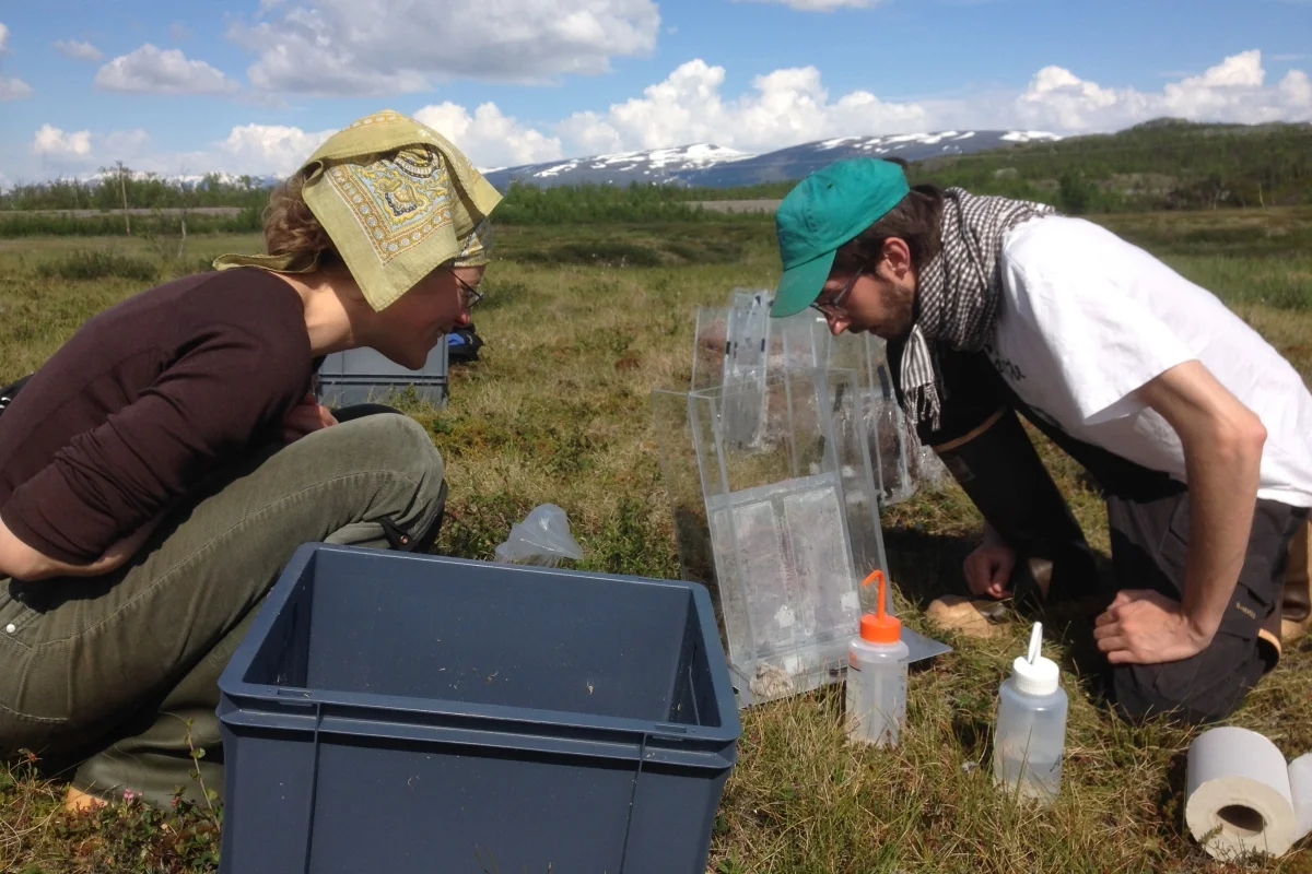 Sweden – a peephole into climate changes