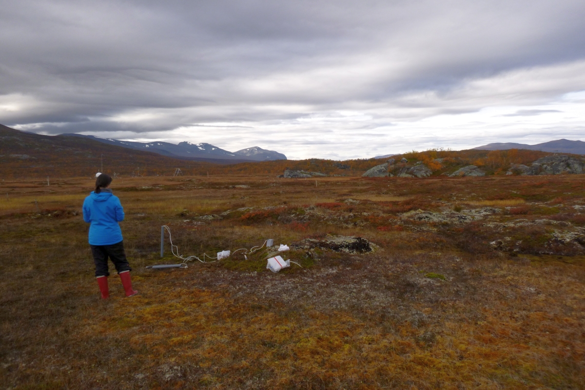 Sampling on the tundra Carolina Olid 1200x800.jpg