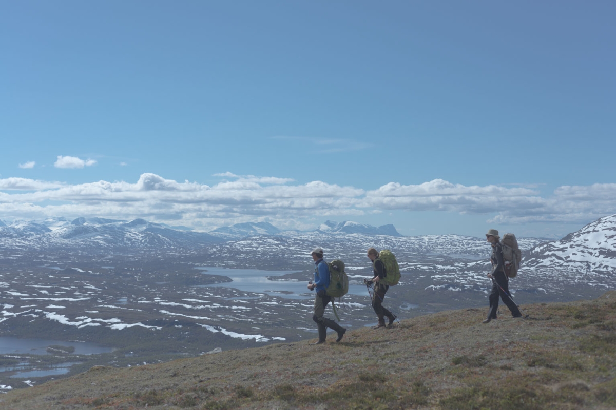 Fieldwork along the ridge by Ive van Krunkelsven.jpg