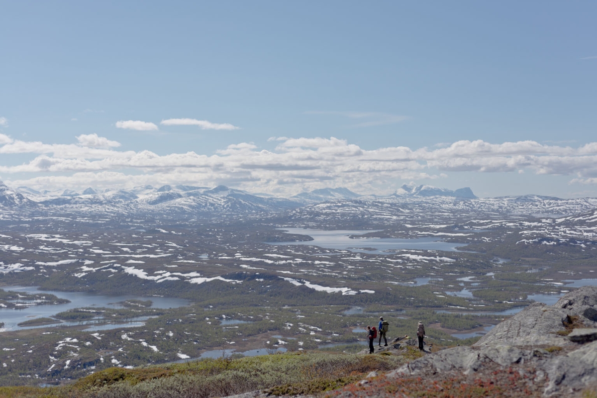 Fieldwork by Ive van Krunkelsven.jpg