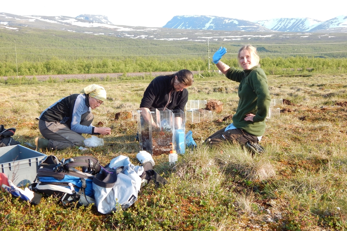 Storflaket Field Work Sylvain Monteux 2015.jpg