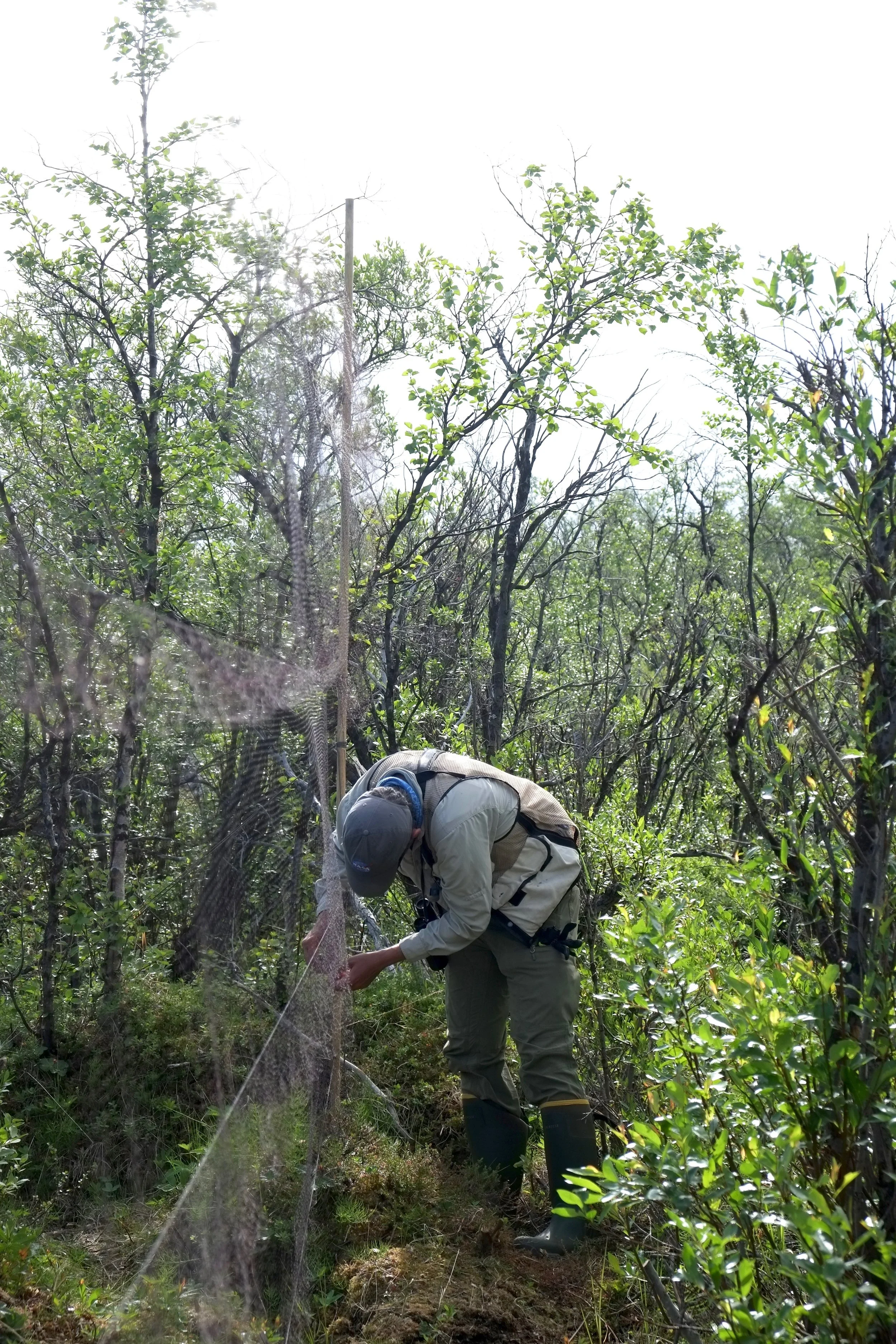 DSCF9578.jpg