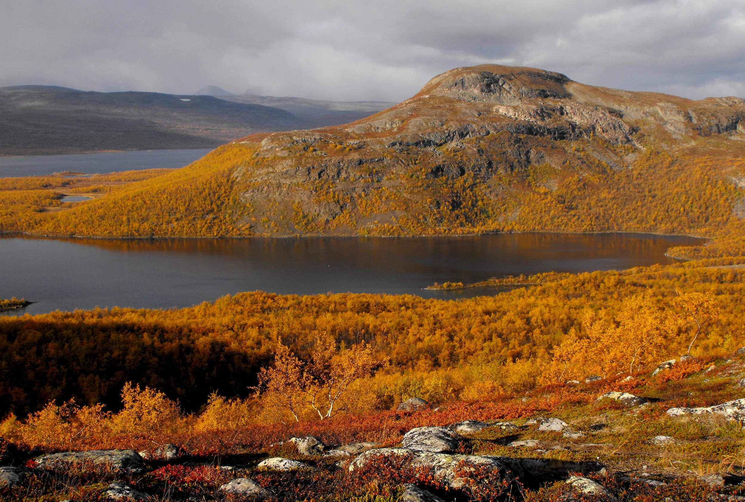 landscape_Kaarlejarvi.jpg
