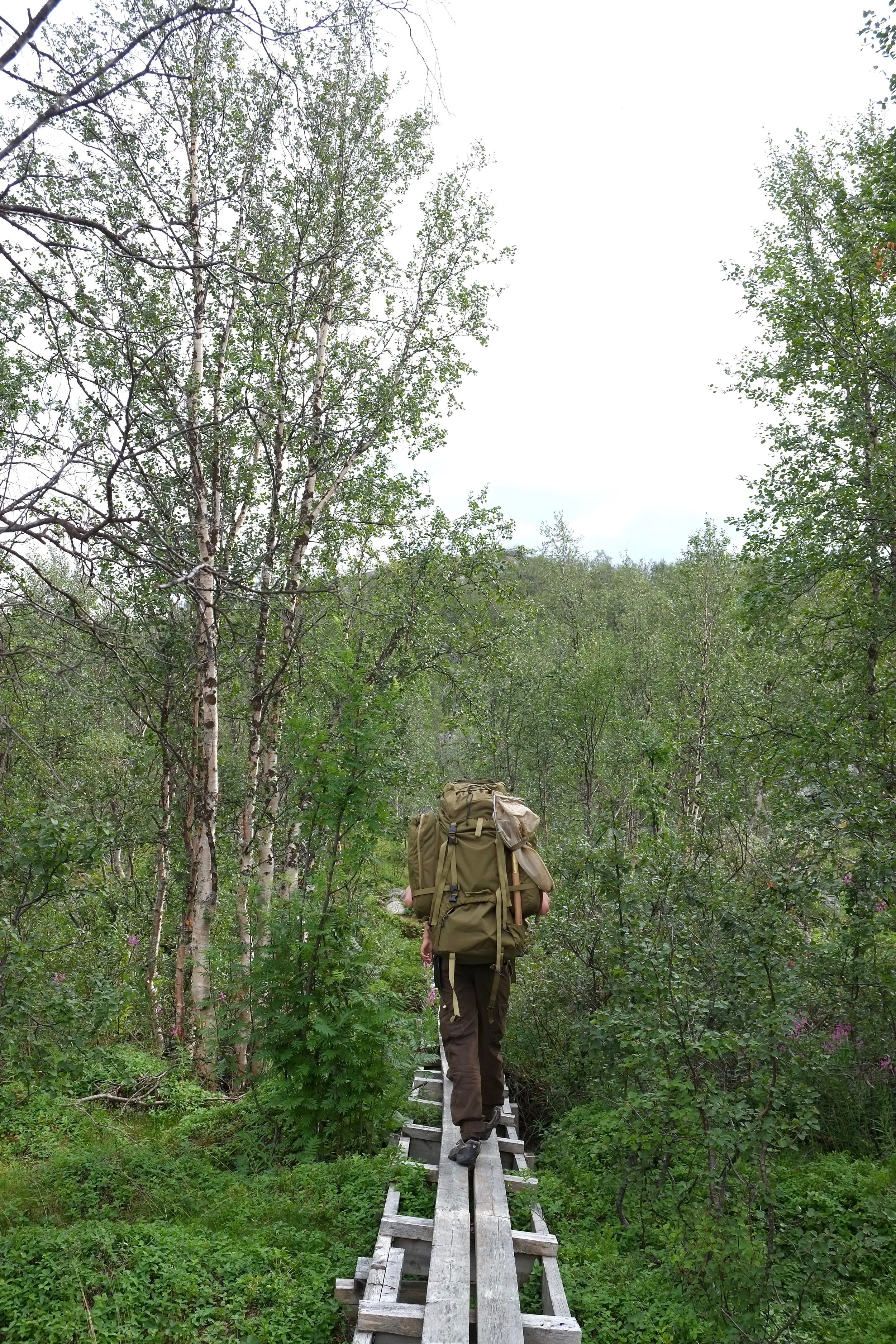 DSCF1772.jpg